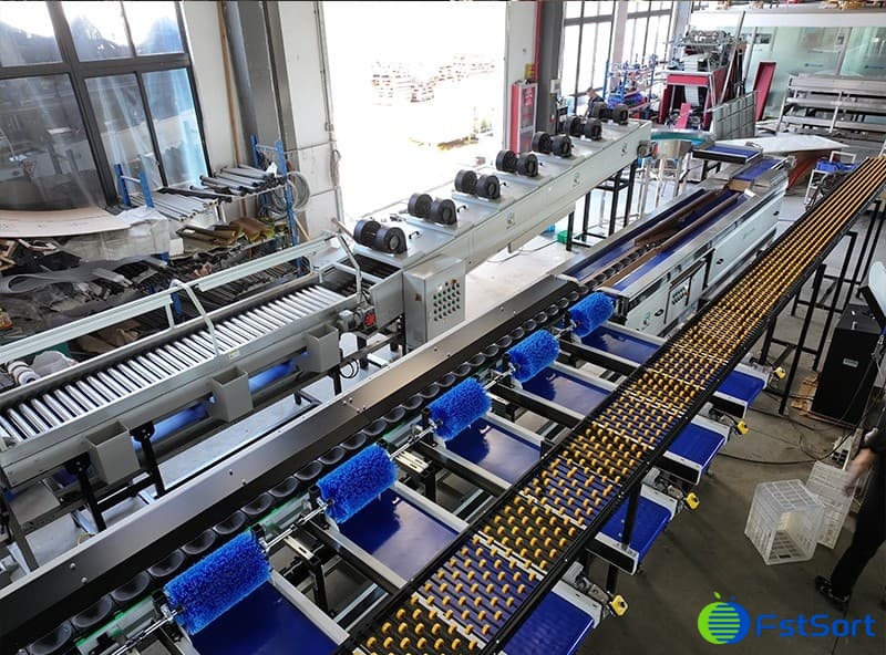 máquina procesadora de fruta del dragón.jpg máquina procesadora de fruta del dragón.jpg